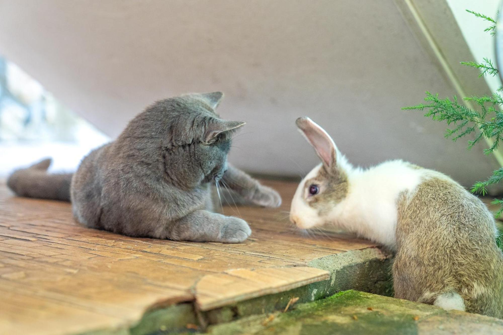 ホテル Casa Nikita ヴァマ・ヴェケ エクステリア 写真