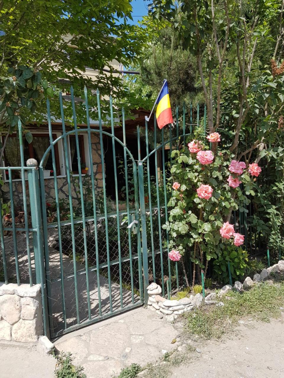ホテル Casa Nikita ヴァマ・ヴェケ エクステリア 写真