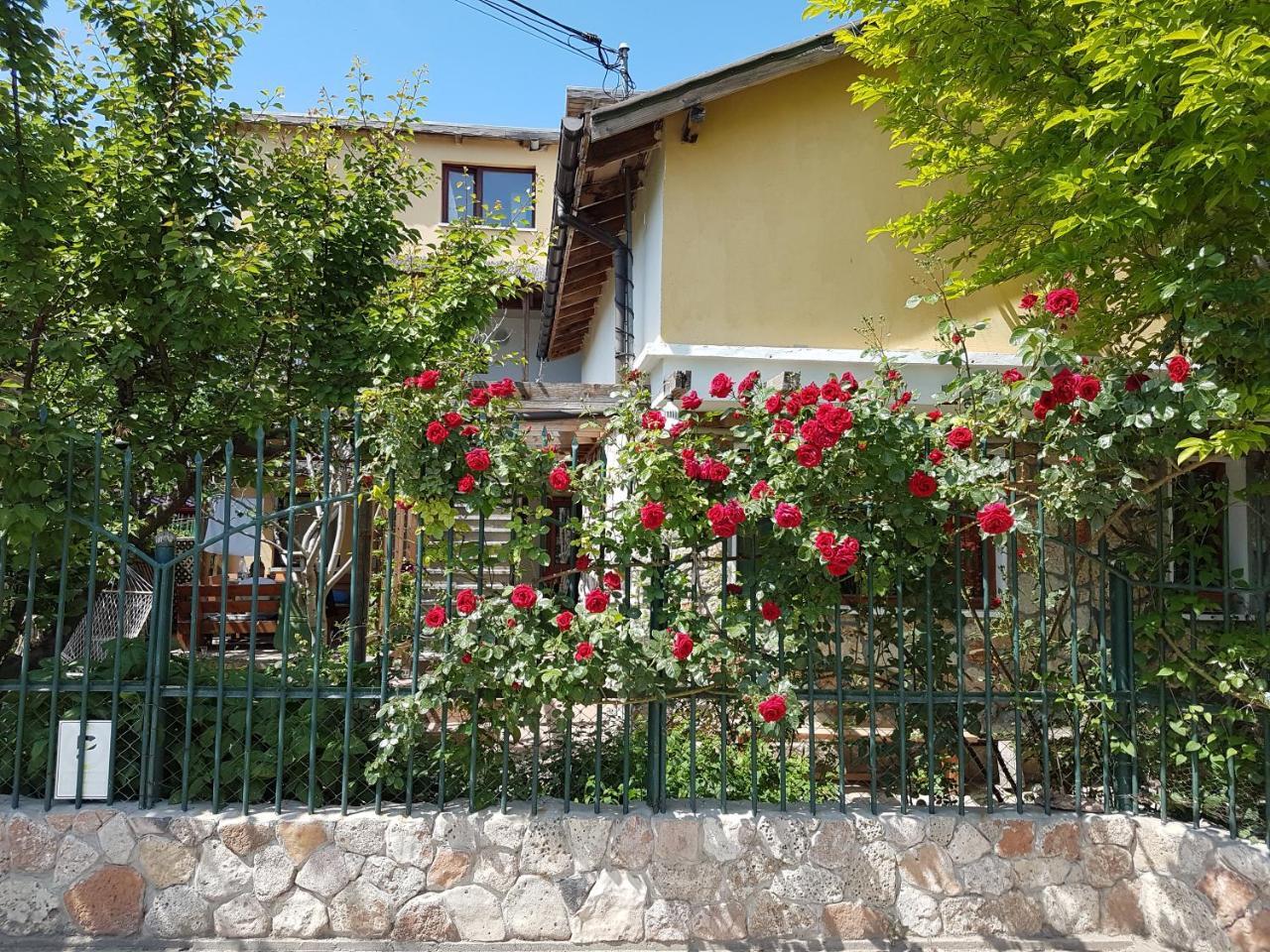 ホテル Casa Nikita ヴァマ・ヴェケ エクステリア 写真